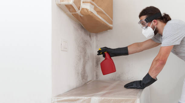 Professional Mold Testing technician working in Fayetteville, NY
