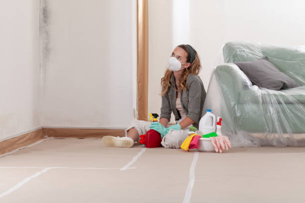 Reliable Mold Testing contractor in Fayetteville, NY by WQB Mold Removal